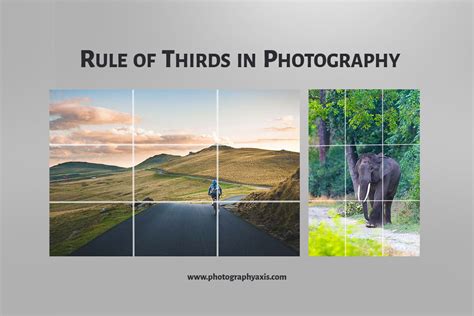 Rule Of Thirds in Photography