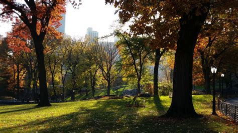 Central Park at Dusk | Smithsonian Photo Contest | Smithsonian Magazine