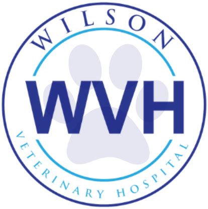 Best Veterinary Hospital In Washington, MI | Wilson Veterinary Hospital