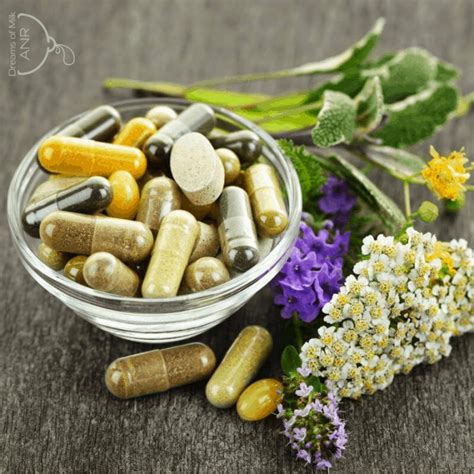 Herbs & Supplements for Induced Lactation | Dreams of Milk