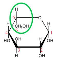 What is the structure of L(+) Glucose and L(-) Glucose? What does ...