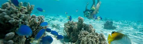 Cook Islands Activities, On and Off the Water | Travel Associates