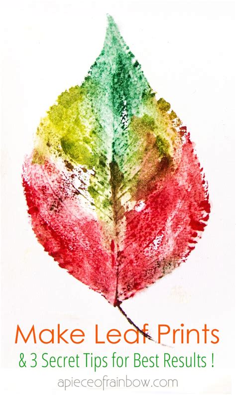 5 Minute Beautiful Leaf Prints Art (& 3 Secret Tips) - A Piece Of Rainbow