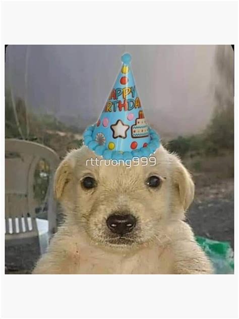 Pegatina «Meme De Perro De Cumpleaños» de rttruong999 | Redbubble