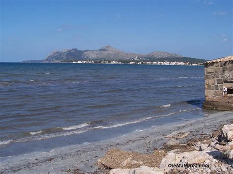 Port Alcudia, Alcudia playa, Mallorca, Alcudia, beach, playa, hotel, cala