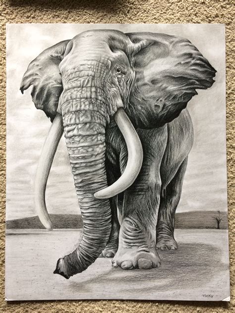 Pin by ticky on drawing | Elephant drawing, Elephant sketch, Animal drawings