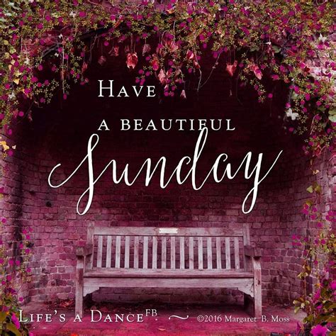 Happy Sunday! Enjoy your day of rest. | Have a beautiful sunday, Sunday ...