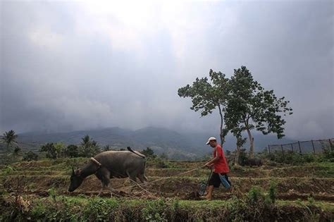 LIVE updates: Kanlaon Volcano restiveness | Philstar.com