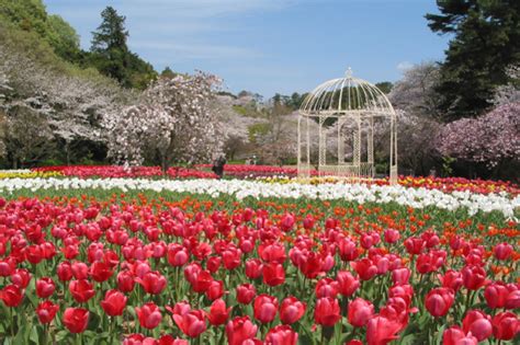 Hamamatsu Flower Park | iN HAMAMATSU.COM