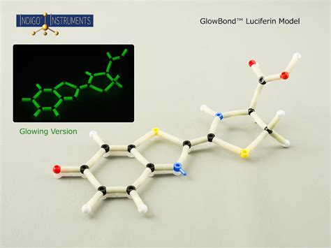 Luciferin Chemical Molecule Structure Model Kit with GlowBonds