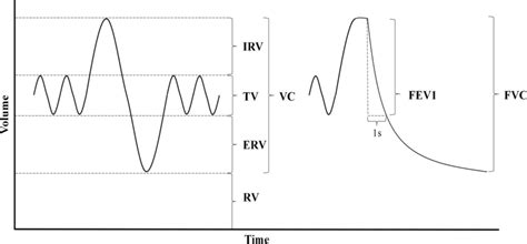 The measurements description of spirometry. IRV: inspiratory reserve... | Download Scientific ...