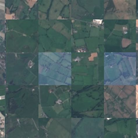 Trees in Satellite Imagery | Kaggle