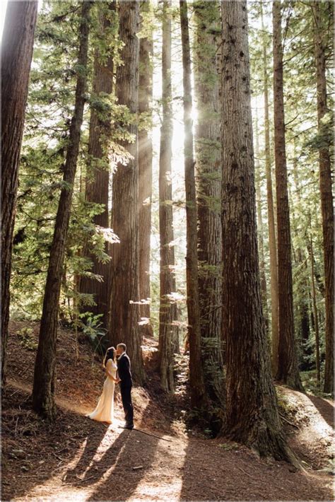 Half Moon Bay Elopement | L&T - Simone Anne Photography