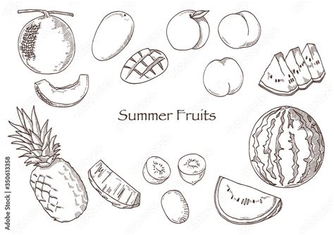 Share more than 155 summer fruits drawing super hot - seven.edu.vn