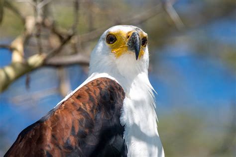 Roaring ahead: Is this park Malawi's next Big Five destination? | Adventure.com