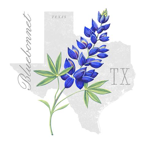 Texas State Flower Bluebonnet Art by Jen Montgomery Painting by Jen ...