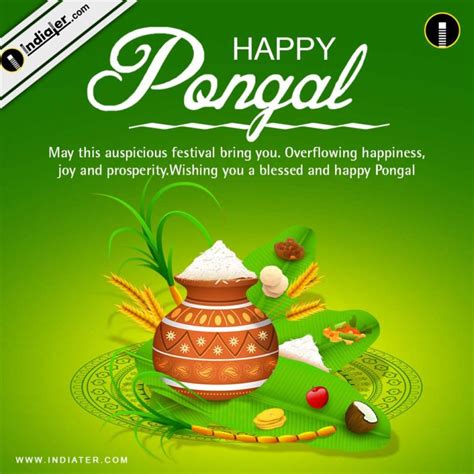 Pongal Festival Greetings Cards and wishes PSD Template - Indiater