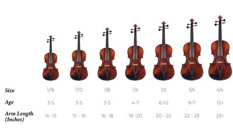 How to Learn the Violin - Beginner's Guide [Upd. 2024]