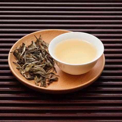 What Is White Tea? Here’s Everything You Need To Know