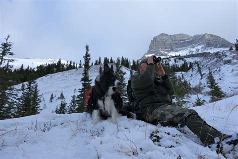 Pack Dogs • BC Outdoors Magazine