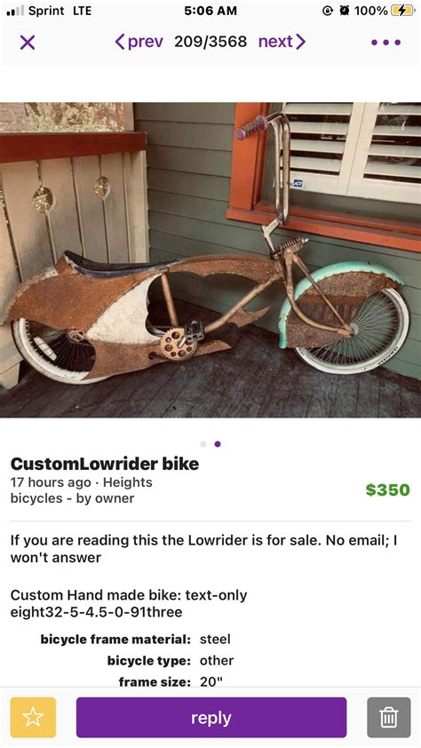 Custom “lowrider bike” for $350?! : r/CrackheadCraigslist