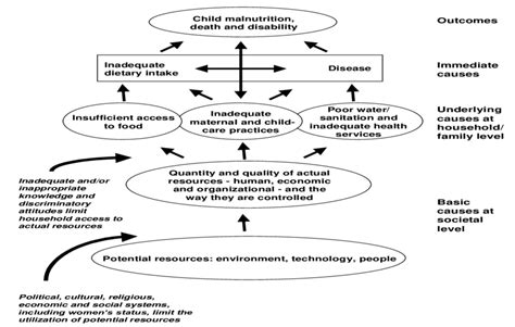 Causes of Child Malnutrition | Download Scientific Diagram