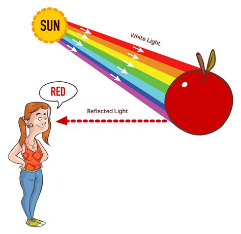 The Visible Spectrum: Overview With Colors Listed in Order of Increasing Wavelength | Color Meanings