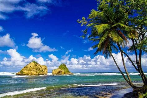 Best Dominica Beaches [iDiveblue] Top 8 Beaches in Dominica