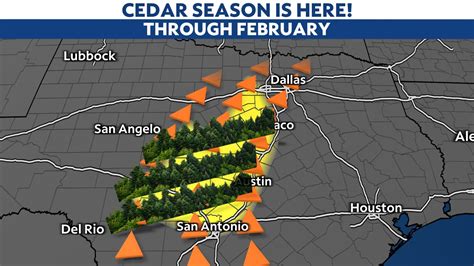 Cedar season returns to Texas. Here’s how to survive