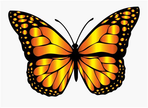 Monarch Butterfly Clipart , Free Transparent Clipart - ClipartKey