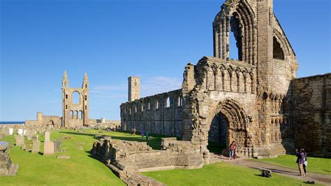 St. Andrew's Cathedral in St. Andrews, Scotland | Expedia