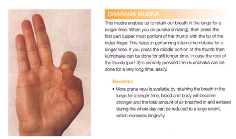 Gyan Dharana Mudra | Mudras, Yoga asanas, Meditation mantras