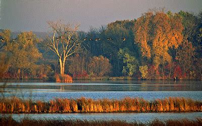 Horicon Marsh – Wisconsin Important Bird Areas