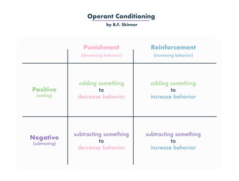 Operant Conditioning (Examples and Research) | Practical Psychology