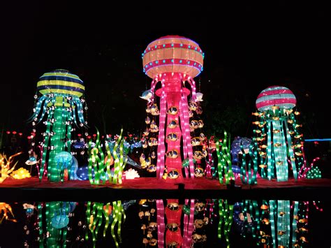 Free Images : night, fish, christmas decoration, christmas lights, chinese new year, lantern ...