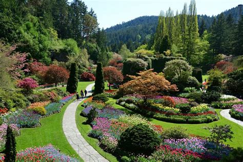 Breathtaking Butchart Gardens and High Tea in Victoria, BC - The Daring ...