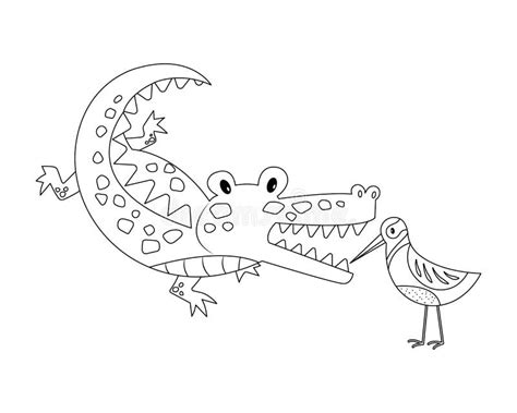 Bird Cleans Crocodile Teeth Colorless Stock Vector - Illustration of colorless, brushing: 173927290