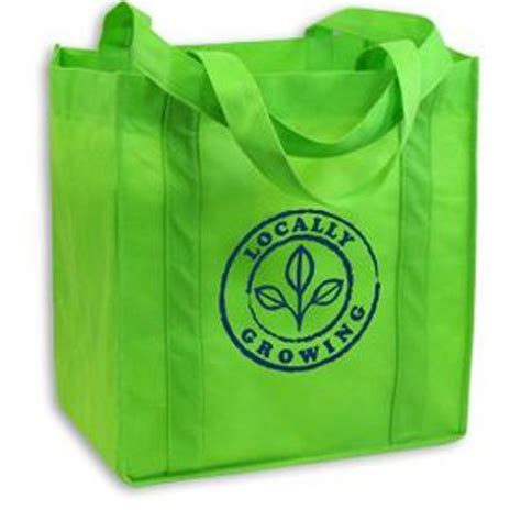 WHY YOU SHOULD BE USING ECO FRIENDLY BAGS