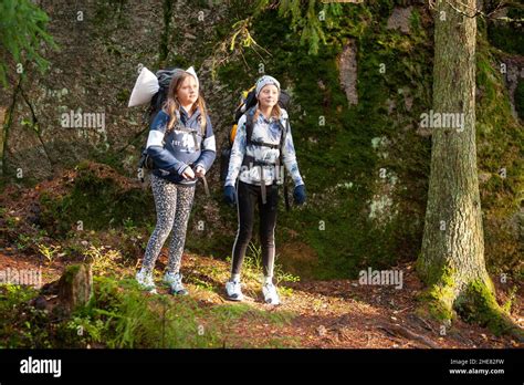 Hiking and camping in Nuuksio National Park Stock Photo - Alamy