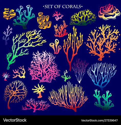 Underwater Colorful Coral Reef