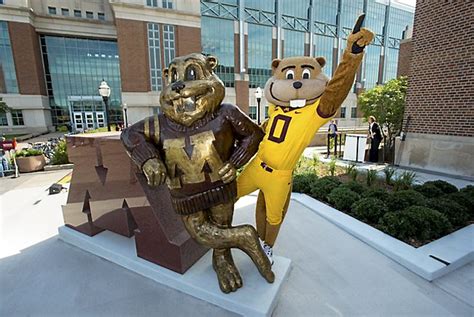 University of Minnesota’s Goldy Gopher stands tall on campus – Twin Cities