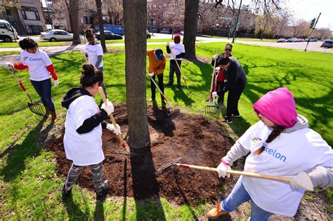 Opportunities and Challenges in Working with Volunteers in Local Parks ...