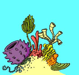 Cartoon Coral Reef Pictures