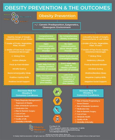 A Guide to Obesity Prevention and the Outcomes | Obesity Medicine ...