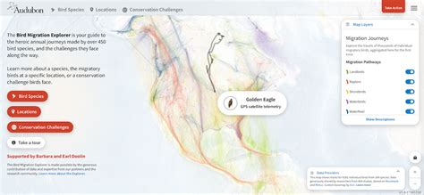 Use the Bird Migration Explorer to Track Hundreds of Bird Journeys | BirdNote