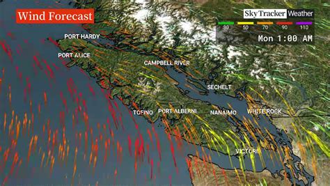 Fall storm season arrives, weather alerts in effect for parts of B.C. | Globalnews.ca