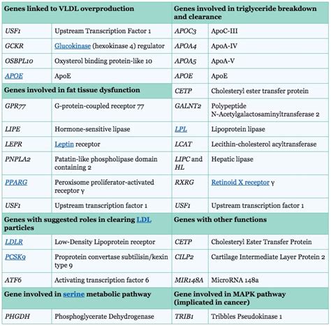 4 Causes of High Triglycerides + Normal Levels - SelfHacked