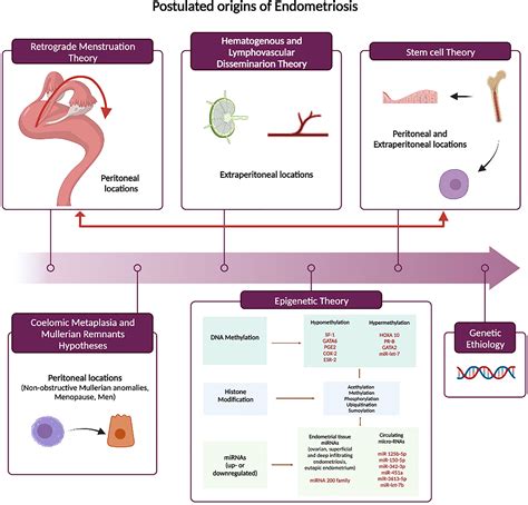 Endometriosis Treatment