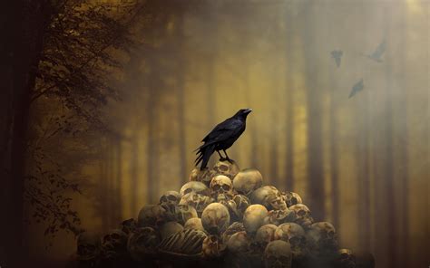 Crow and Skull Wallpapers on WallpaperDog