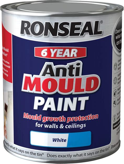 5 Best Anti Mould Paints Reviewed (2022) - Best Paint For